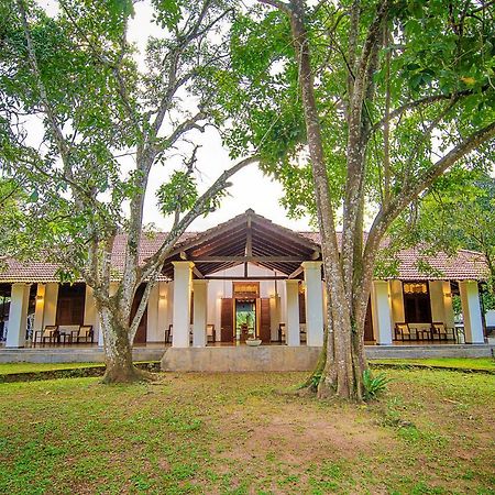 Maison d'hôtes Comilla Bungalow à Gampaha Extérieur photo